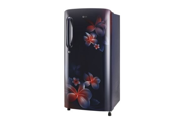GL-B201ABPD-Refrigerators-Right-View-DZ-07