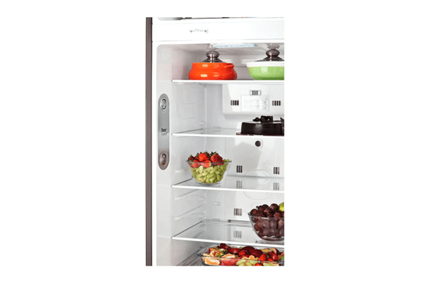 GL-T302RPZY-Refrigerators-Detailed-View-1-DZ-03