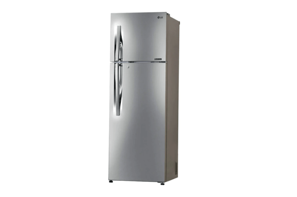 GL-T302RPZY-Refrigerators-Right-View-DZ-08